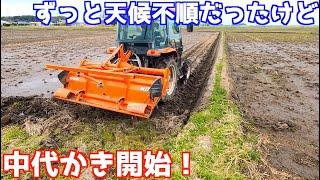 寄せ付け作業終了！中代かき開始！