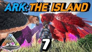 Taming Argentavis Warna Warni! Ark Survival Evolved Eps 7