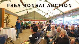 PSBA Bonsai Auction at Pacific Bonsai Museum