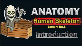 Human Skeletal system | Introduction to Human skeleton | Functions of skeleton | top lesson4u
