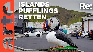 Die Papageientaucher-Patrouille auf Island | ARTE Re: