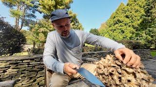 How To Pickle Mushrooms | Maitake Hen of The Woods