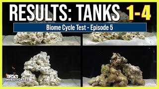 Ep: 5 Best Biome Cycle? Ocean Direct Live Sand vs. Indo Live Rock vs. Marco Rock vs. Aquarium Sand.