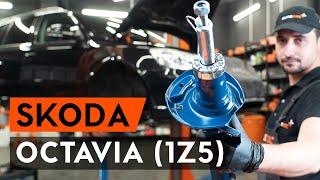 Wie OCTAVIA (1Z5) Stoßdämpfer vorne wechseln [AUTODOC TUTORIAL]