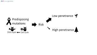 Cancer genetic predisposition intro | Merogenomics