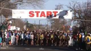 Fort Collins Thankgiving day run