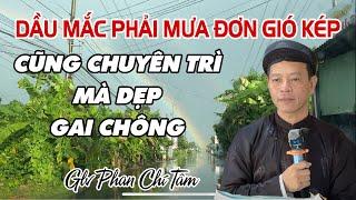 DẦU MẮC PHẢI MƯA ĐƠN GIÓ KÉP / CŨNG CHUYÊN TRÌ MÀ DẸP GAI CHÔNG