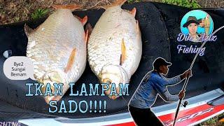 #fishingvedio CARA MEMANCING IKAN LAMPAM GAJAH SAIZ BESAR BAS!!.