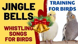 Jingle Bells with Whistling - Christmas Song with Whistling - Songs for Cockatiels,Bird,Budgies,