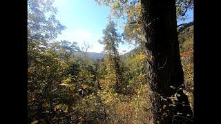 Walking in the footsteps Daniel Boone as we explore the Wilderness Road through the Cumberland Gap!