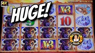 HOLY SMOKES - HUGE Winner - Buffalo Gold Slot Machines