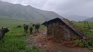 beautiful and organic  mountain village life  most peaceful and relaxing mountain lifestyle