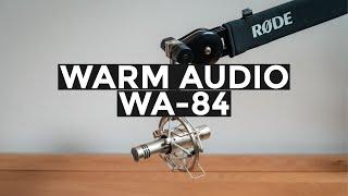 Warm Audio WA-84 Review // Neumann KM-84 Based