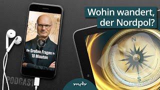 Wohin wandert der Nordpol | Podcast: Die Großen Fragen in 10 Minuten | MDR