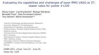 Evaluating the capabilities and challenges of layer-fMRI VASO at 3T