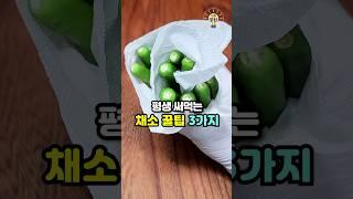 알면 평생 써먹는 채소 꿀팁 3가지 #살림팁 #생활꿀팁 #꿀팁