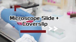 Fanen Microscope Slide and Coverslip