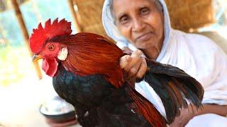 Deshi Country Chicken Cooking by our Grandmother and my Mother | Village Pure Deshi Country Chicken