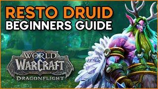Dragonflight Beginners Guide [Restoration Druid]