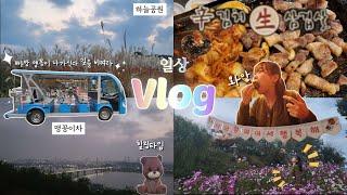 일상 Vlog : 서른 넘어서 처음 간 하늘공원 이렇게 좋은 곳을 왜 이제 간거야.... / (또간집) 풍자님 맛집은 역시나‼️️  (하늘공원, 또간집 합정편 신김치생삼겹살)