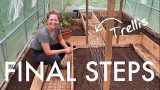 Building a GREEN HOUSE 🪚🫛 FARM project in PORTUGAL - Part 3