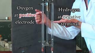 Electrolysis of water in a Hoffman apparatus