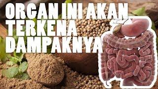 Manfaat Ketumbar bagi Kesehatan