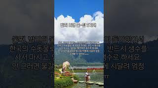 발리여행 진짜 꿀팁 5가지 ㅣ 해외여행추천 ㅣ 신혼여행추천