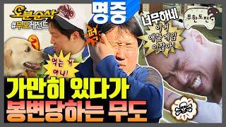 [#무한도전] 슬리퍼에 맞고 태클 당하고 개한테 물리기까지 방송 사고급으로 봉변당한 무도 멤버들 | 무한도전⏱오분순삭 MBC100220방송