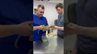 Хамелеон столкнулся с проблемой линьки. #trending
