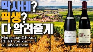 Marsannay & Fixin? I'll Let You Know All About Them