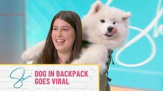 Viral Video Dog Lumi Gets a Sherri Shepherd Shoutout