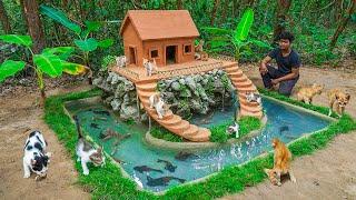 Rescue Kitten Build Mountain House And Fish Pond