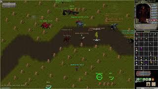 Zerg Fights No Cuts Ultima Online pvp 2024