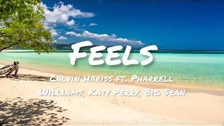 Calvin Hariss - Feels ft. Pharrell Williams, Katy Perry, Big Sean (Lyrics)