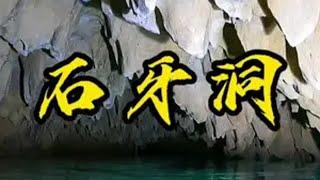 探险队在贵州地下发现神奇的龙脉洞穴 帅帅探险 贵州山洞 自然奇观