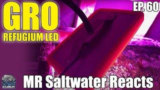 GRO Macroalgae Refugium LED By Neptune Systems - MR Saltwater Reacts