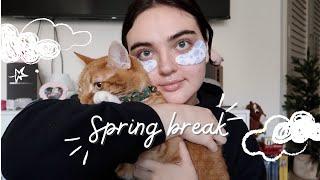 spend a week of spring break with me !! | STAYCATION in LOS ANGELES