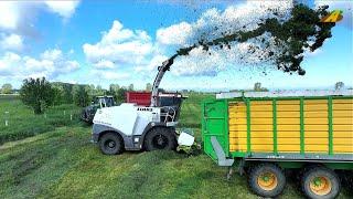 Grasernte 2022 Gras mähen & häckseln Lohnunternehmer Großeinsatz Landwirtschaft Traktor agriculture