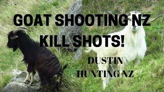 GOAT CULLING/SHOOTING NZ