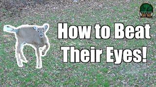 Deer Vision Secrets: How to Fool a Deer's Eyes After Being Seen (Real Hunt Example)