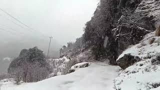 Sandakphu Snowfall 2024 March