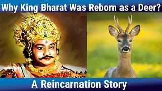 Why King Bharat Was Reborn as a Deer? Reincarnation Story, Jay Lakhani