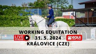 LIVE  | Working Equitation Královice (CZE) – 31. 5. 2024