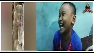 Reaction video lucu indonesia - Jaya Pradana