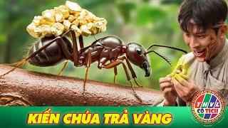 CỔ TÍCH MỚI 2024 | KIẾN CHÚA TRẢ VÀNG | CỔ TÍCH VIỆT NAM HAY MỚI NHẤT 2024 | CỔ TÍCH VIỆT NAM 2024