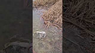 31 января, рыбалка по открытой воде.