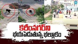 Bear Hulchul In Karimnagar District | Bear Roaming on Roads | @iDreamNews1