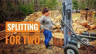 FIREWOOD - A Great Commodity - County Line 40 Ton Wood Splitter Review