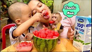Linda and Brother Kun Eat watermelon with fresh milk, it's amazing